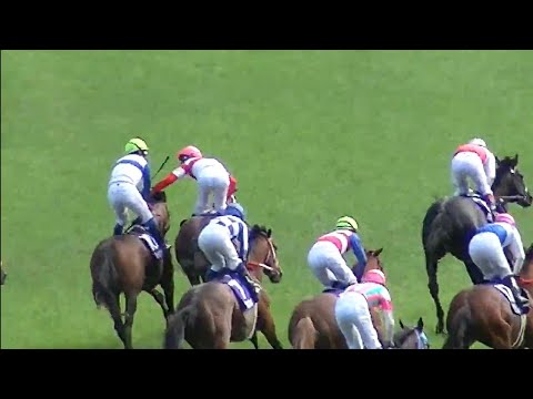 安田記念　1着ロードカナロア号（岩田康誠騎手）（個人撮影）2013年6月2日（日）東京競馬場