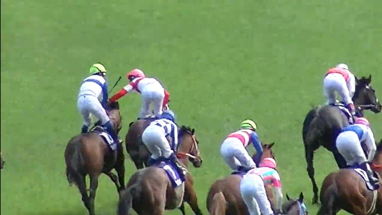 安田記念 1着ロードカナロア号（岩田康誠騎手）（個人撮影）2013年6月2