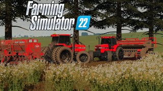 Plantio de TRIGO sobre cobertura de NABO FORRAGEIRO - Farming Simulator 22