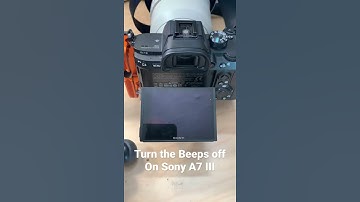 Sony A7 iii Menu Tutorial - How to Turn the Beeps off