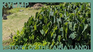 Moʻolelo With Kahaku & Uncle Henry: History of the ʻAina (Land)