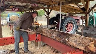 Sawing  Pine with a Straight piped Super M Farmall.