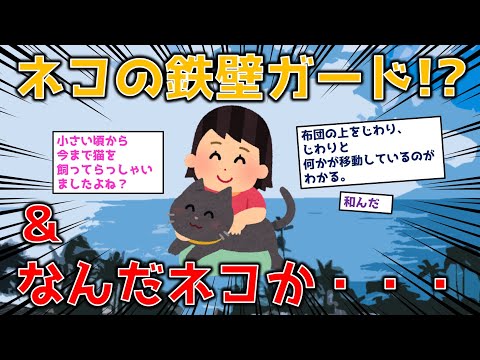 【2ch動物】【ネコまとめ2本】ネコの鉄壁ガード！？＆なんだネコか・・・【にちゃんねる】