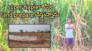 super Napier కోసం land prepare చేస్తున్నాను || please save farmers by PLEASE SAVE FARMERS 1,659 views 2 months ago 5 minutes, 2 seconds