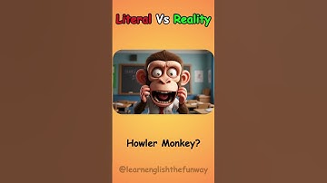 Literal Vs Reality English Compound Words | 031