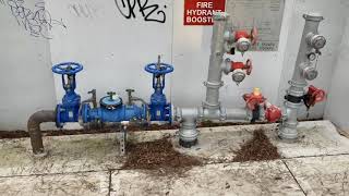 Photogrammetry pipes  and Wooden stumps