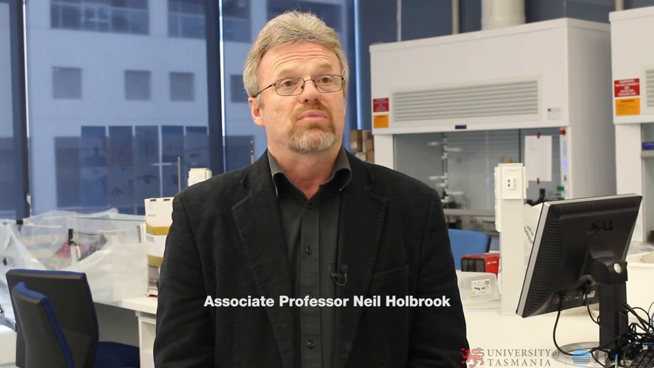 IMAS Associate Professor Neil Holbrook talks about the 2015/16 Tasman Sea marine heatwave