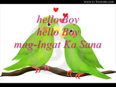 Boy   I love you   by  Donna Cruz  with lyrics