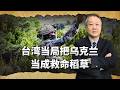 台灣把烏克蘭當作救命稻草，求助無人機技術，並求教授戰術