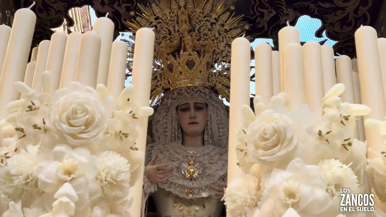 Domingo Ramos Cádiz 2025 Borriquita C/Plocia Virgen del Amparo Marcha Se Siempre Nuestra Esperanza