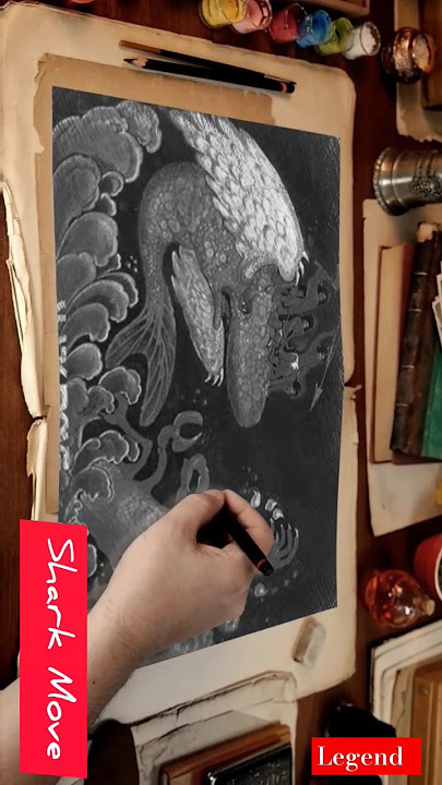 Shark Move | Bingung | 1973