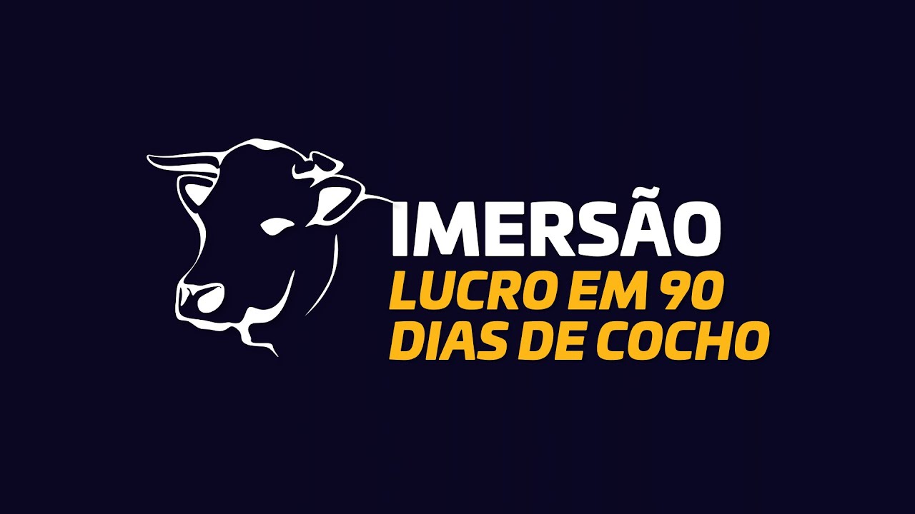 Reprise da Imersão Lucro em 90 Dias de Cocho