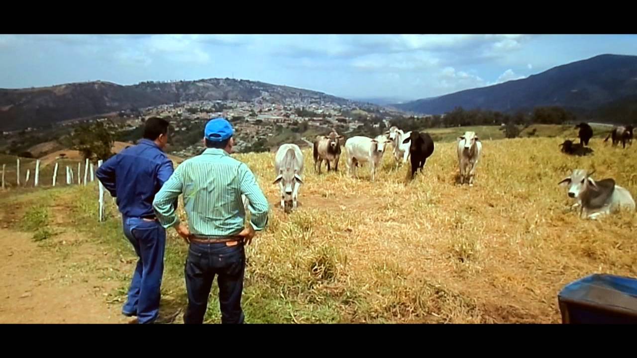 El Gabán Documentao - Héctor Hernández