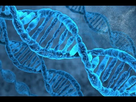 Genomics Based Healthcare A New Reality