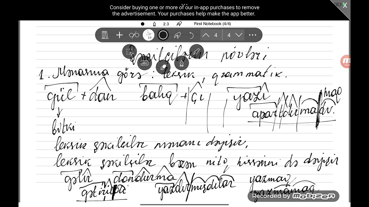 Şəkilçilərin növləri 