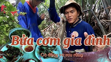 Cắm Câu Cá Thòi Lòi Biển Cần Giờ Tập 28 Cơm Trưa Thòi Lòi Hai Món /Đạt Nguyễn Cần Giờ