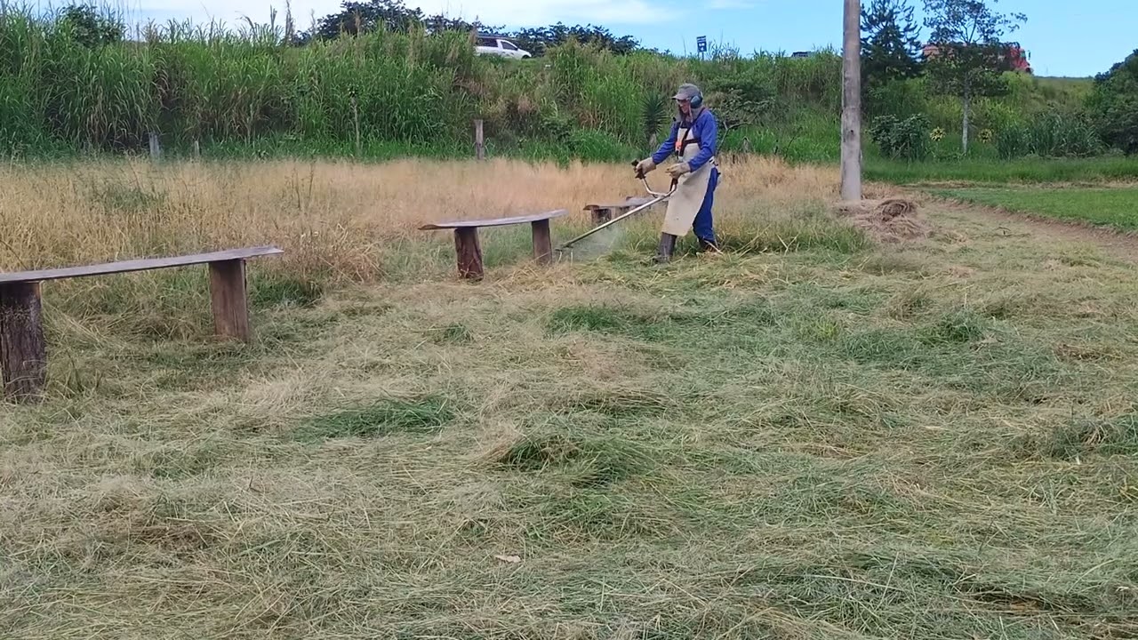 15 de janeiro de 2026