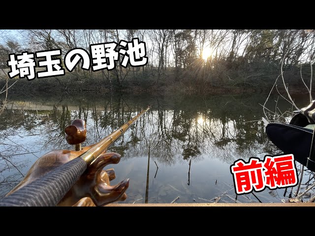 Aim for a giant crucian carp in a pond where they live! Balanced