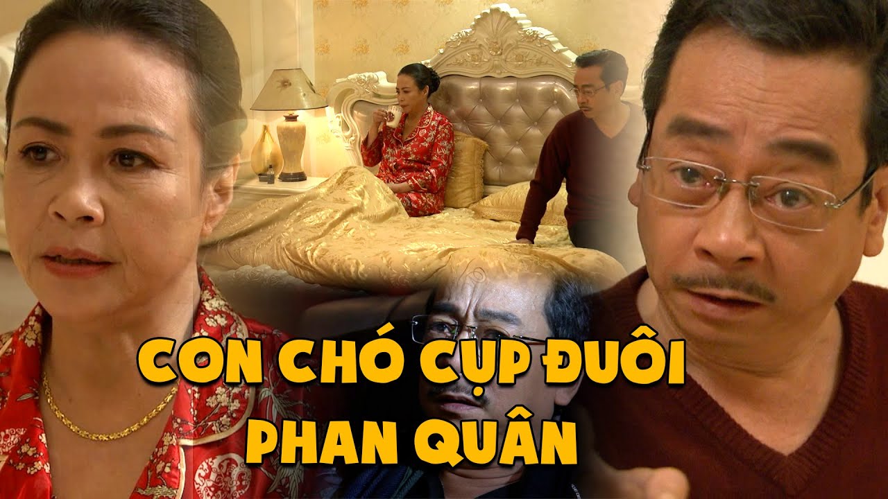 Người Phán Xử #7 - GIẢ CHẾT chiến lược, ông trùm bị chửi là CON CHÓ CỤP ĐUÔI | Phim Truyền Hình VTV