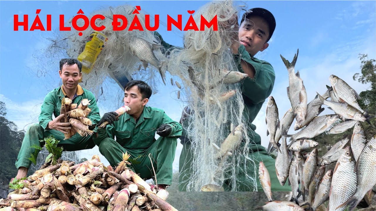 HÁI LỘC ĐẦU NĂM TRONG RỪNG-TỰ THỢ RỪNG 