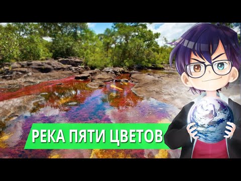 КАНЬО-КРИСТАЛЕС / РЕКА ПЯТИ ЦВЕТОВ В КОЛУМБИИ // Я Короче Узнал