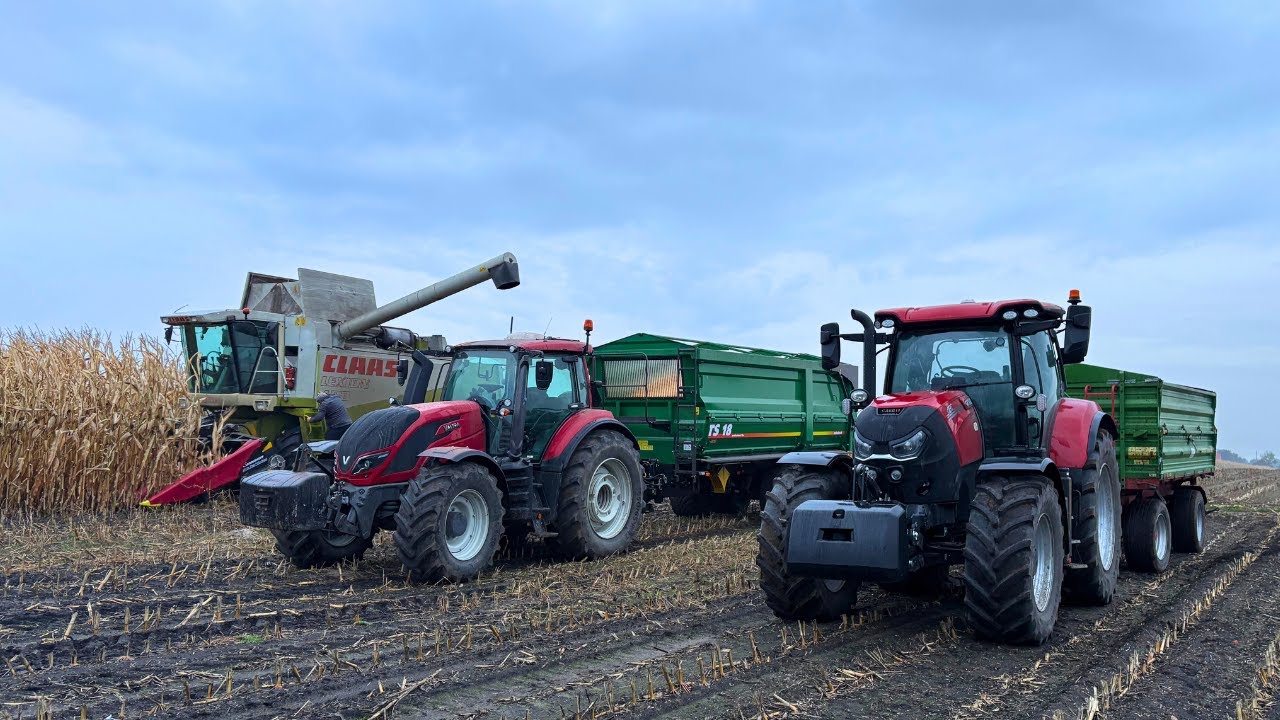 NOWA skorupa Metaltech TS18 a gdzie nasza TS16? Miała być kiszonką a sypie ponad 12 ton!  ŻNIWA 🌽