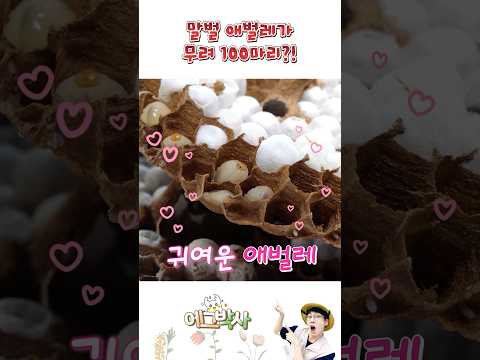 배고파요. 밥 주세요!