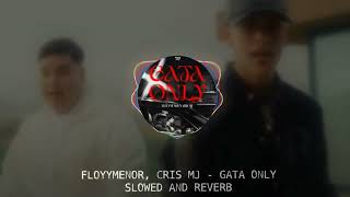 FLOYYMENOR x CRIS MJ - GATA ONLY [SLOWED AND REVERB] (VERSION OFICIAL)