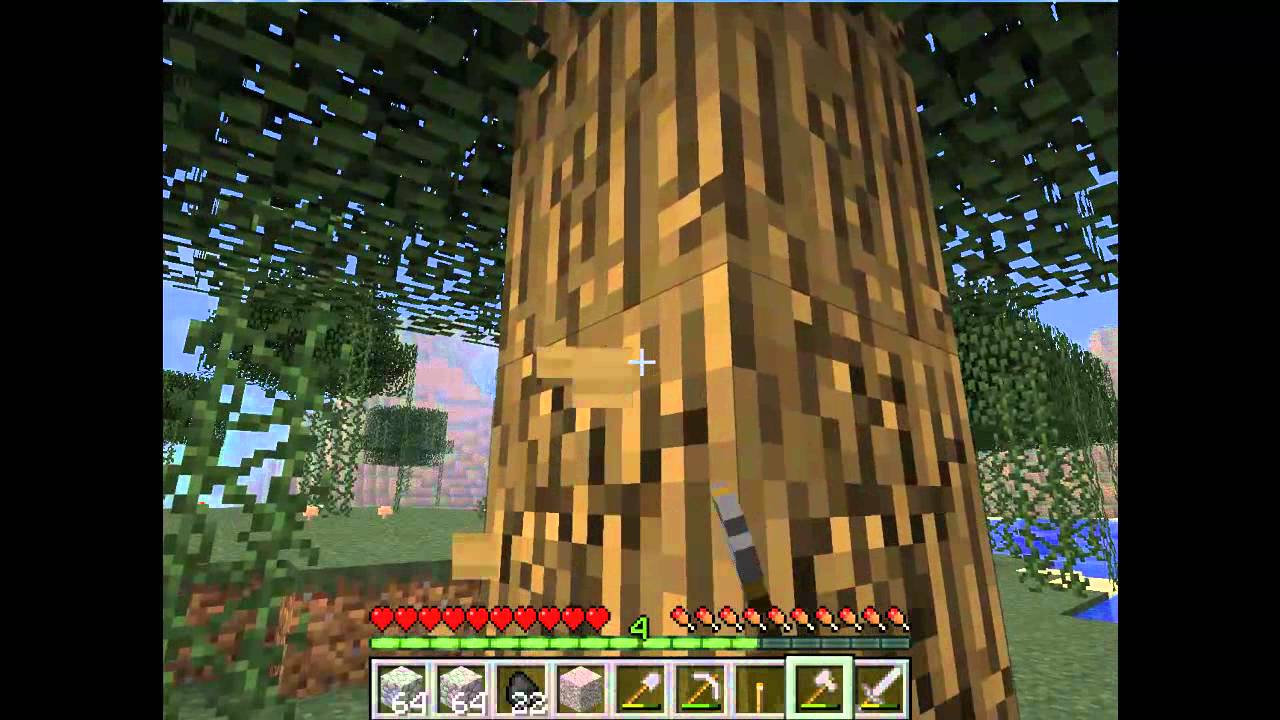 Lets Play: Minecraft Episode 5 - YouTube
