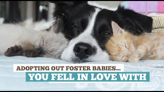 I’m not crying…yes, I am crying. 🥺😭 #kitten #foster