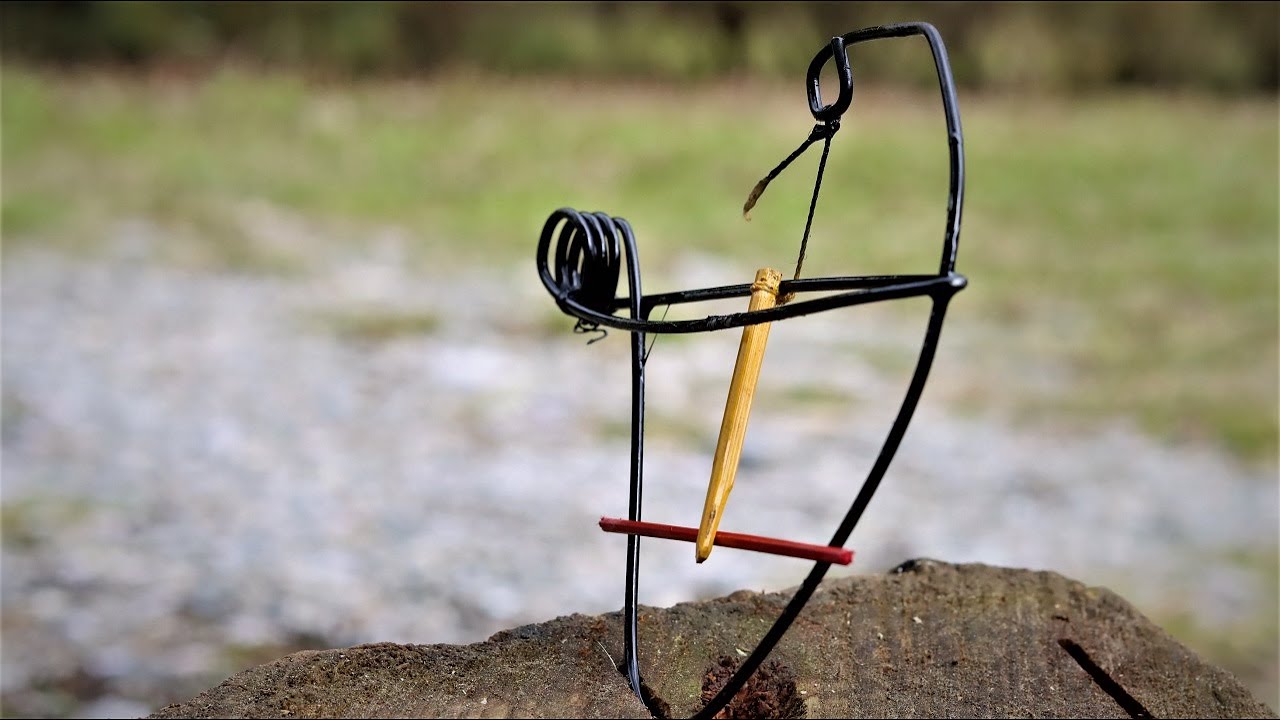 How to Make a Simple Wire Trap at Home YouTube