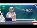 Lembu rayau Gua Musang bahayakan pengguna jalan raya, kemalangan berulang