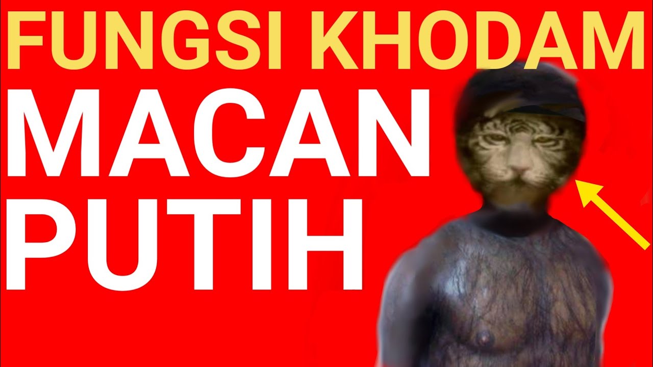 Fungsi Khodam MACAN PUTIH - YouTube