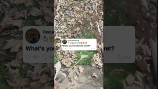 What's your wholesome secret?