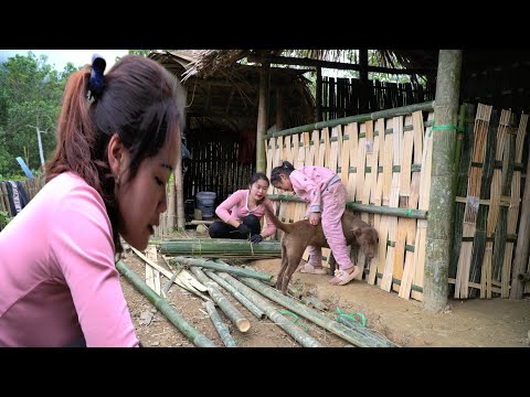 How to build a kitchen between mother and daughter 