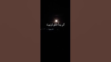 أإله مع الله تعالى الله عما يشركون# تلاوة مؤثرة القارئ احمد النفيس# سورة النمل #
