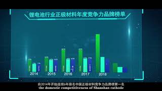 杉杉股份全球新能源领导者