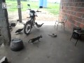 Gato muy valiente contra una víbora 