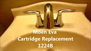 Moen Faucet Leak Fix Made Easy and Free