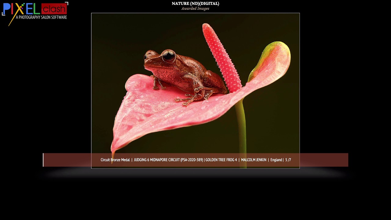 AWARDED IMAGES || NATURE PHOTOGRAPHY || JUDGING 6 || MIDNAPORE CIRCUIT SGIPL 1