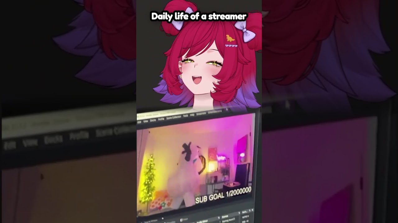 Daily Life of a Streamer