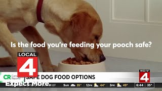 Which dog food should you buy? 58 of the most popular dog food brands tested