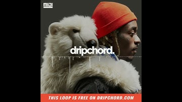 Free Lil Uzi Vert Trap Loop "Hook" MIDI + Stems, Royalty Free