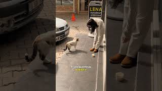 Napsın bu kadın ????? #anne #kesfet #funny #kesfetteyiz #challenge #anneler #keşfetteyiz #keşfet