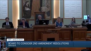 Proposal hopes to declare Kenosha County a 'Second Amendment Sanctuary County'