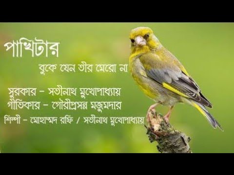 Pakhitar Buke Jeno Tir Mero Na Full Song  Mohammed Rafi  Na Na Na Pakhitar Buke  Old Bengali Song