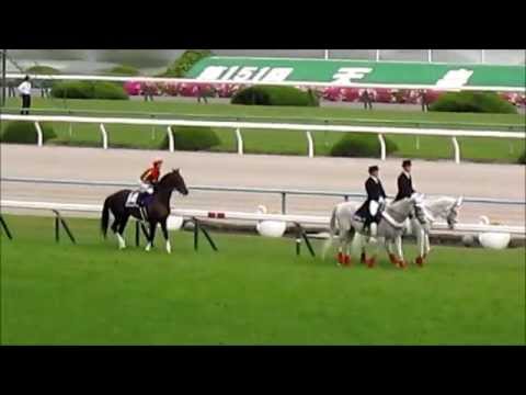 2015年 天皇賞(春) 2着馬フェイムゲームも観客にお披露目