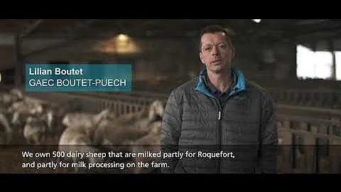 GEA Dairy Farming - ABS Bedding System - GAEC Boutet Puech