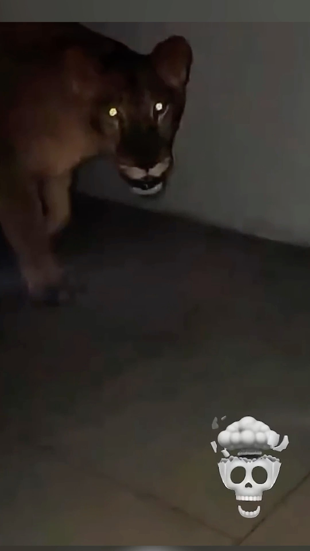 Una VISITA tenebrosa durante la NOCHE..