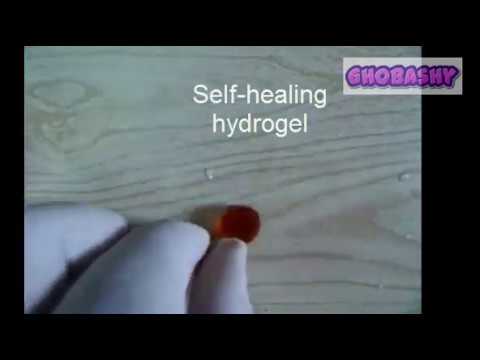 self healing hydrogel - YouTube